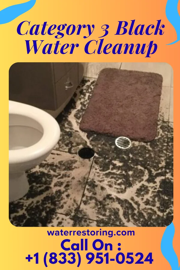 Category 3 Black Water Cleanup in Wolford, ND