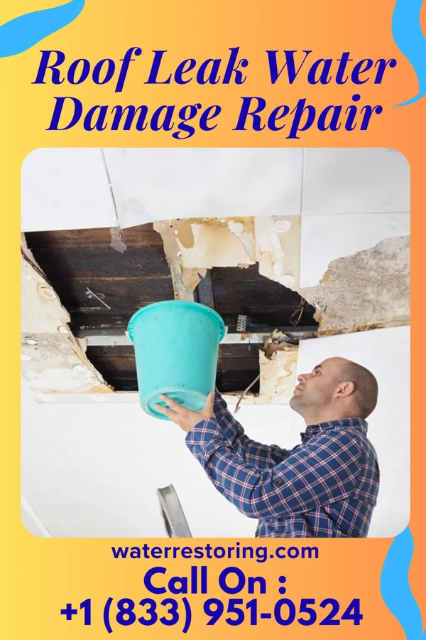 Roof Leak Water Damage Repair in Wolford, ND
